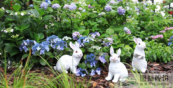 彩运网(中国游)官方网站