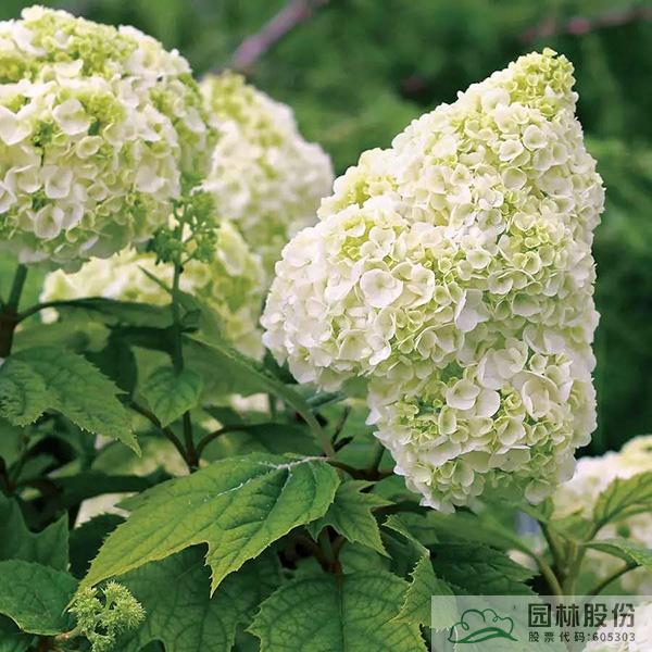 彩运网(中国游)官方网站