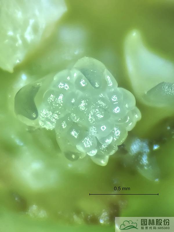 彩运网(中国游)官方网站