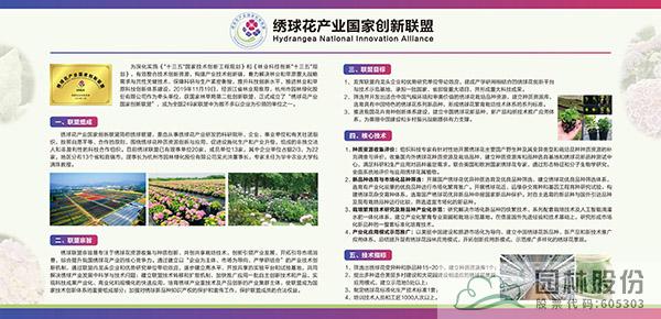 彩运网(中国游)官方网站