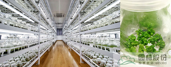 彩运网(中国游)官方网站