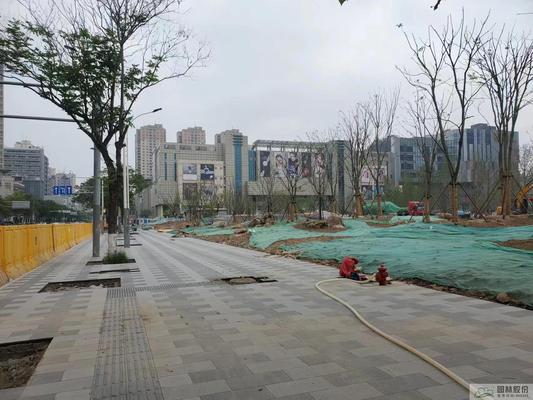 彩运网(中国游)官方网站