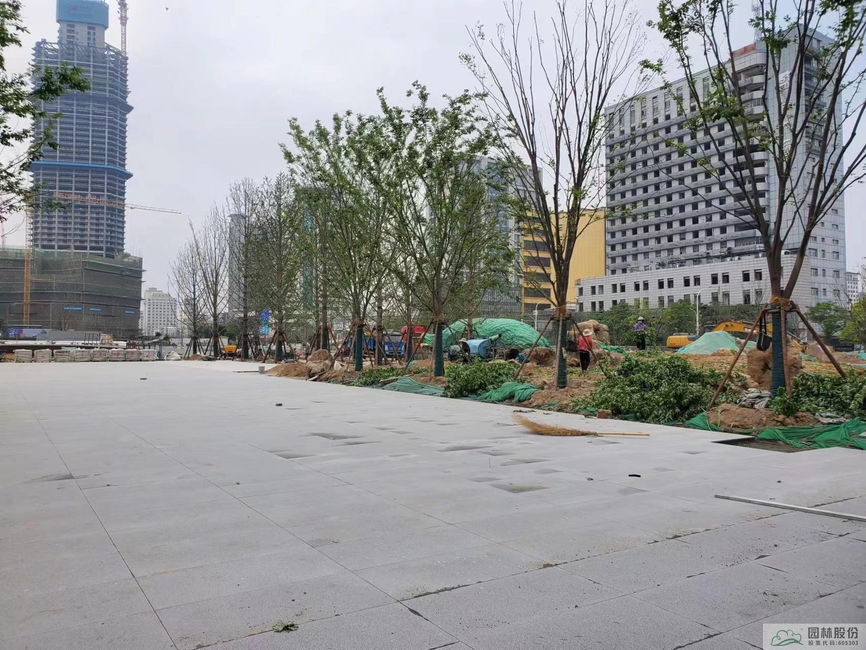 彩运网(中国游)官方网站