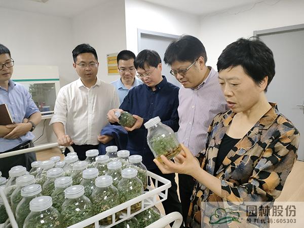 彩运网(中国游)官方网站