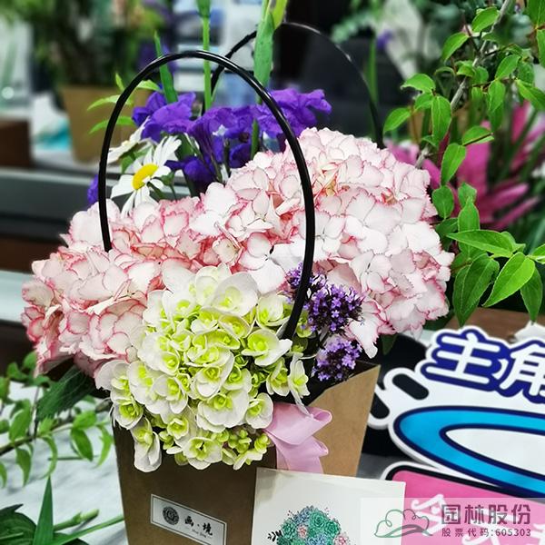 彩运网(中国游)官方网站