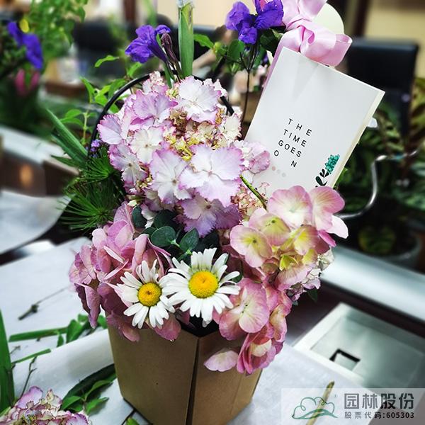 彩运网(中国游)官方网站