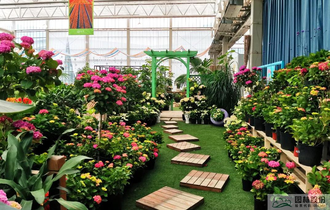 彩运网(中国游)官方网站