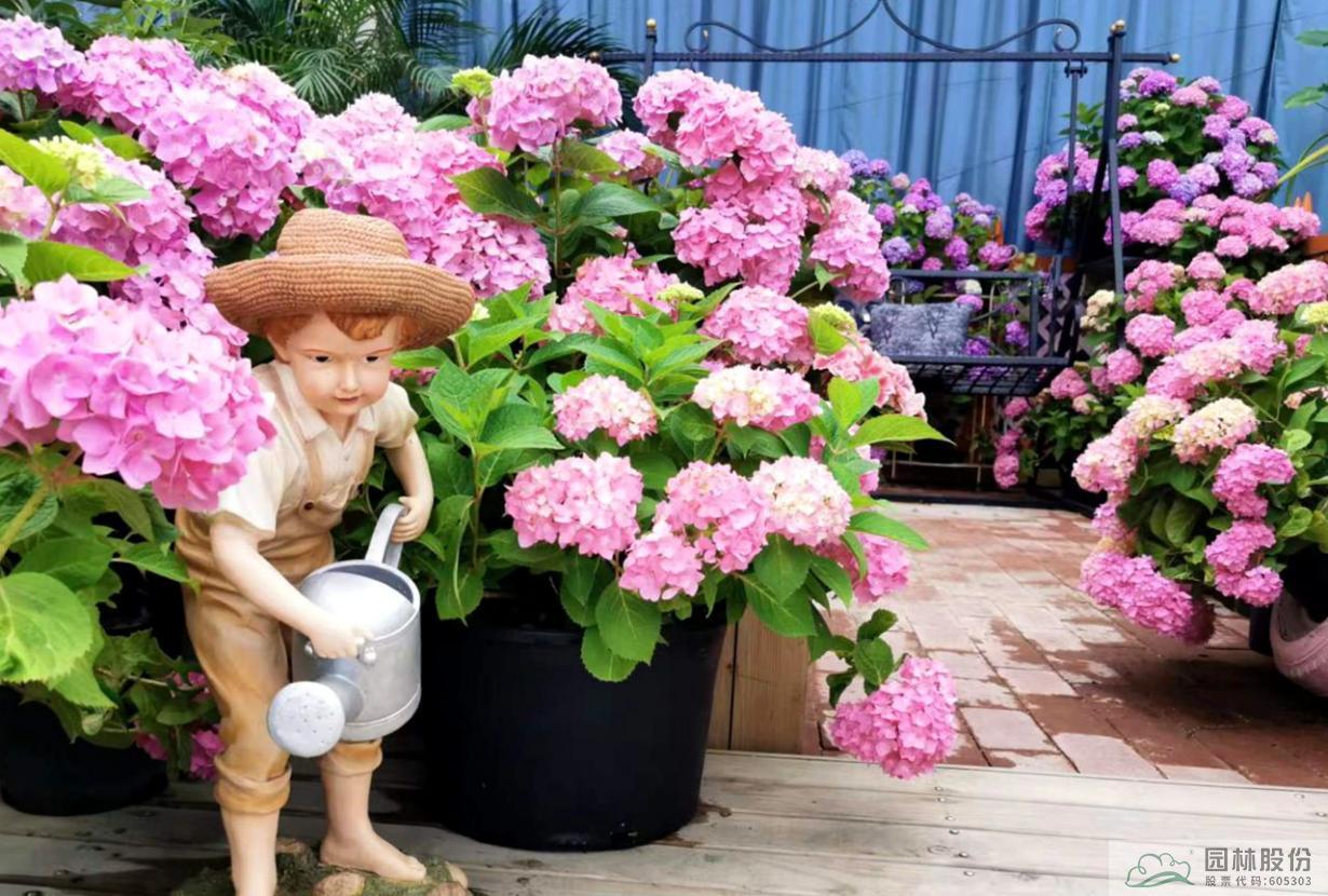 彩运网(中国游)官方网站