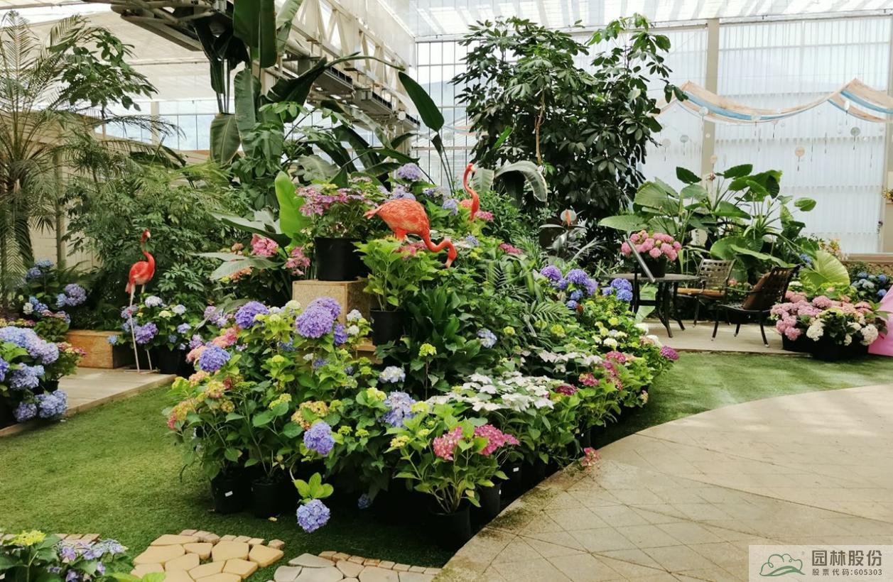 彩运网(中国游)官方网站