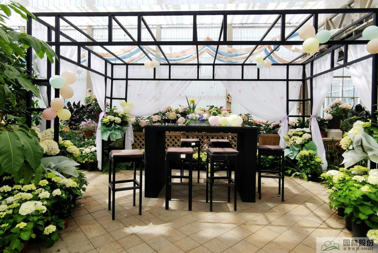 彩运网(中国游)官方网站