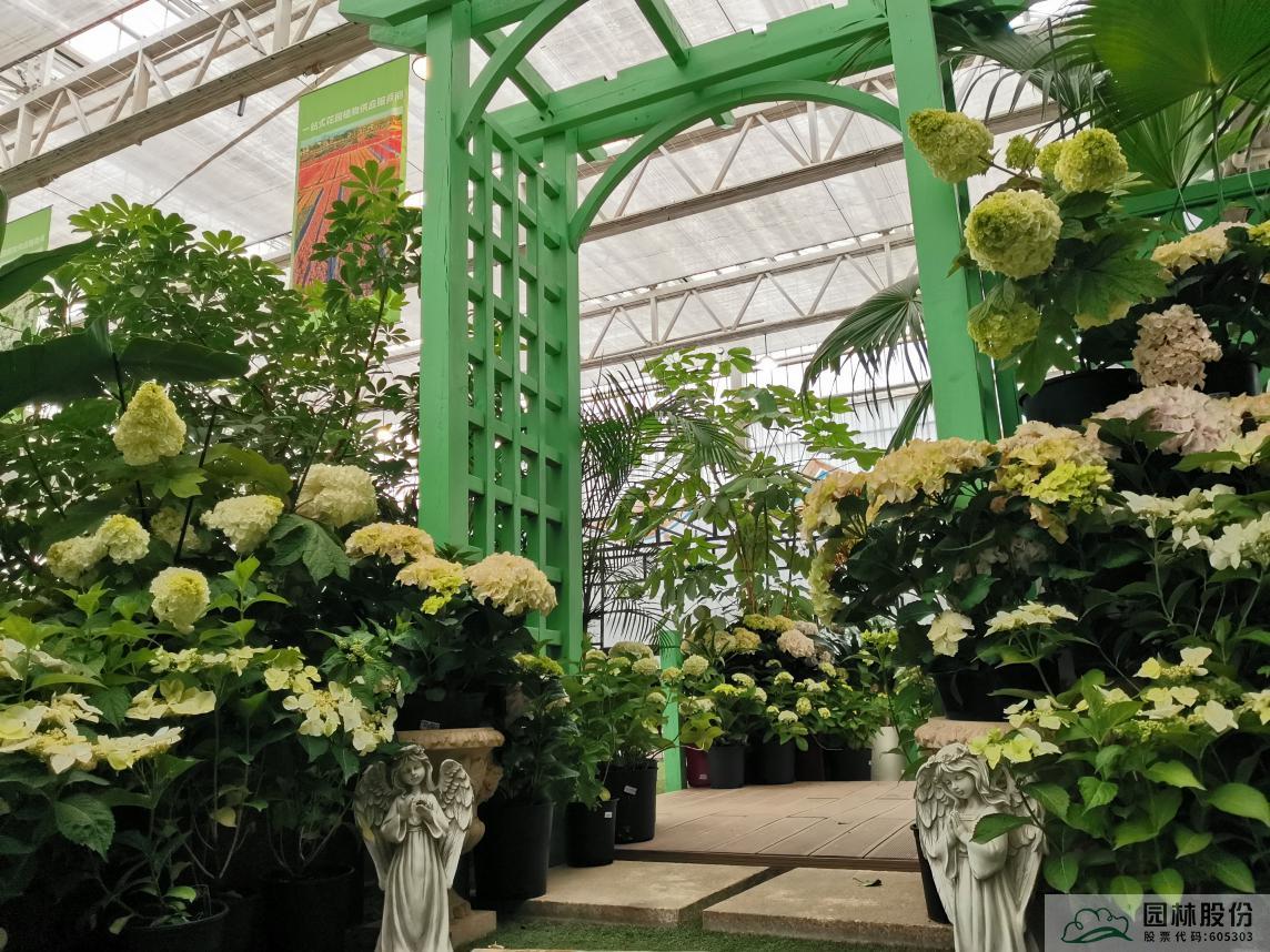 彩运网(中国游)官方网站