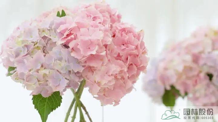 彩运网(中国游)官方网站