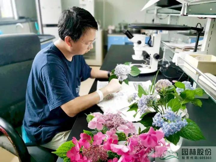 彩运网(中国游)官方网站