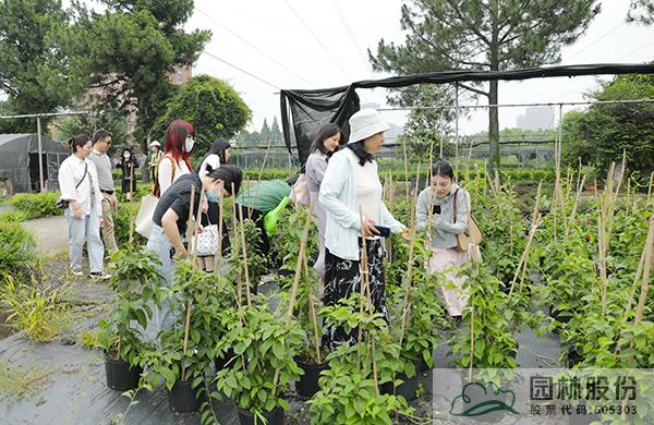 彩运网(中国游)官方网站