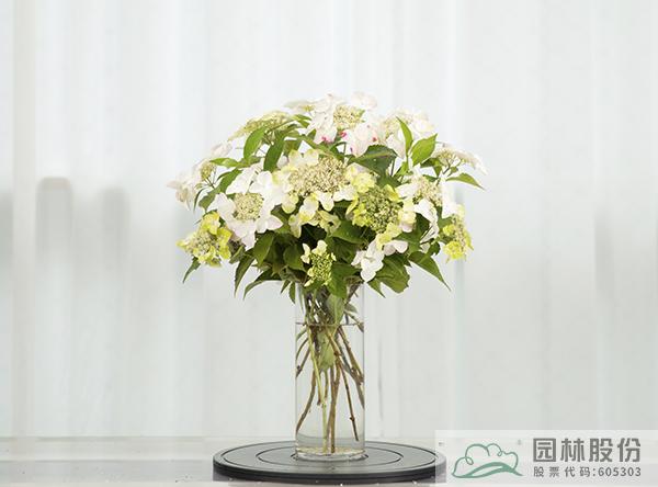 彩运网(中国游)官方网站