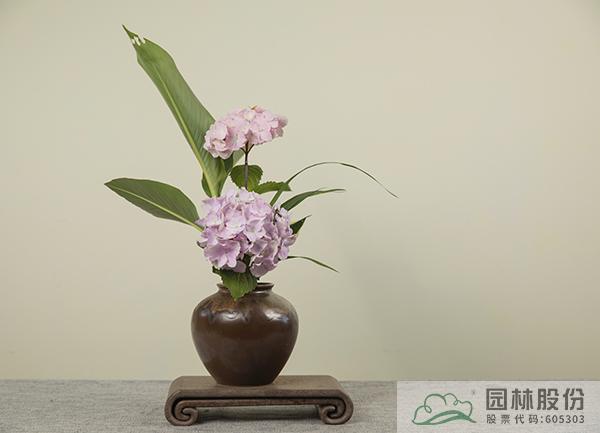 彩运网(中国游)官方网站