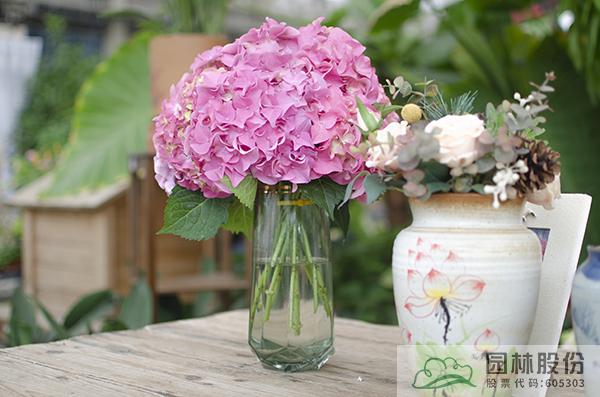 彩运网(中国游)官方网站