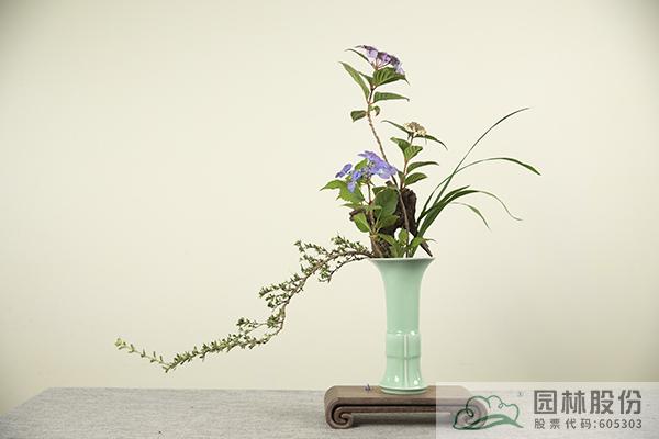 彩运网(中国游)官方网站