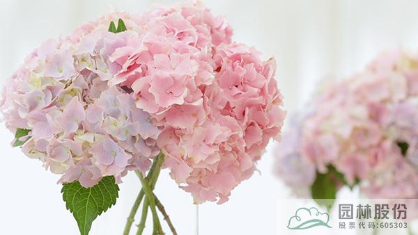 彩运网(中国游)官方网站