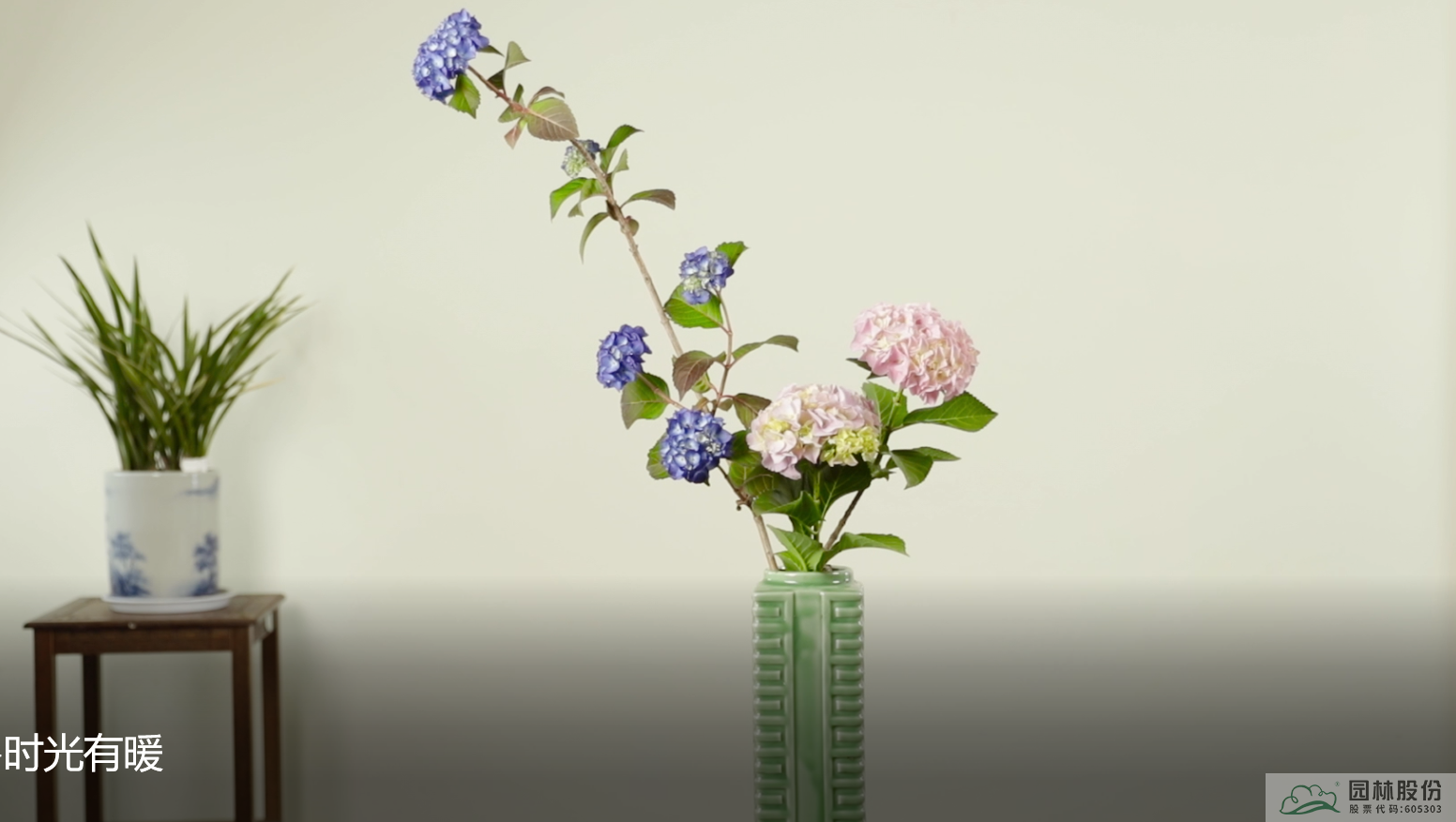 彩运网(中国游)官方网站