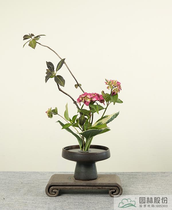 彩运网(中国游)官方网站