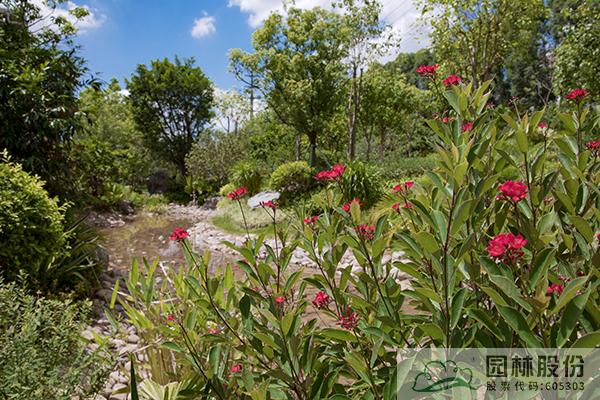 彩运网(中国游)官方网站