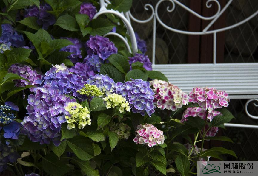 彩运网(中国游)官方网站