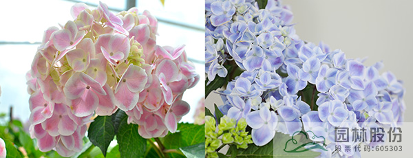 彩运网(中国游)官方网站