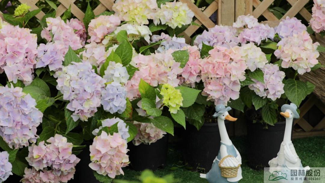 彩运网(中国游)官方网站