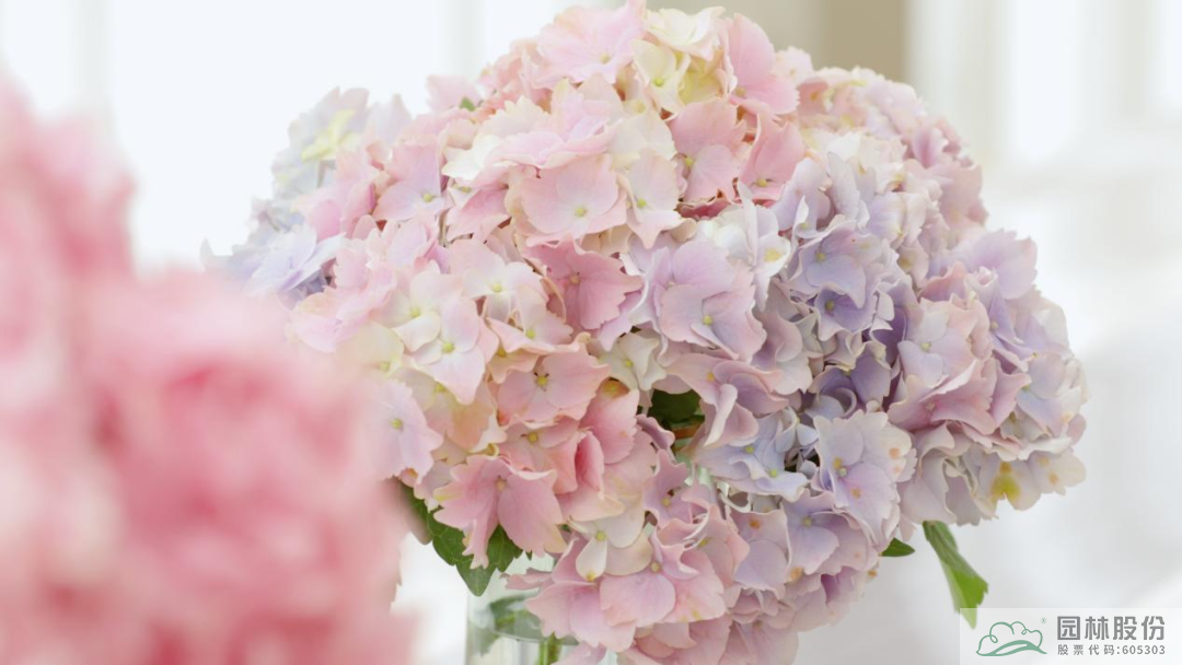 彩运网(中国游)官方网站