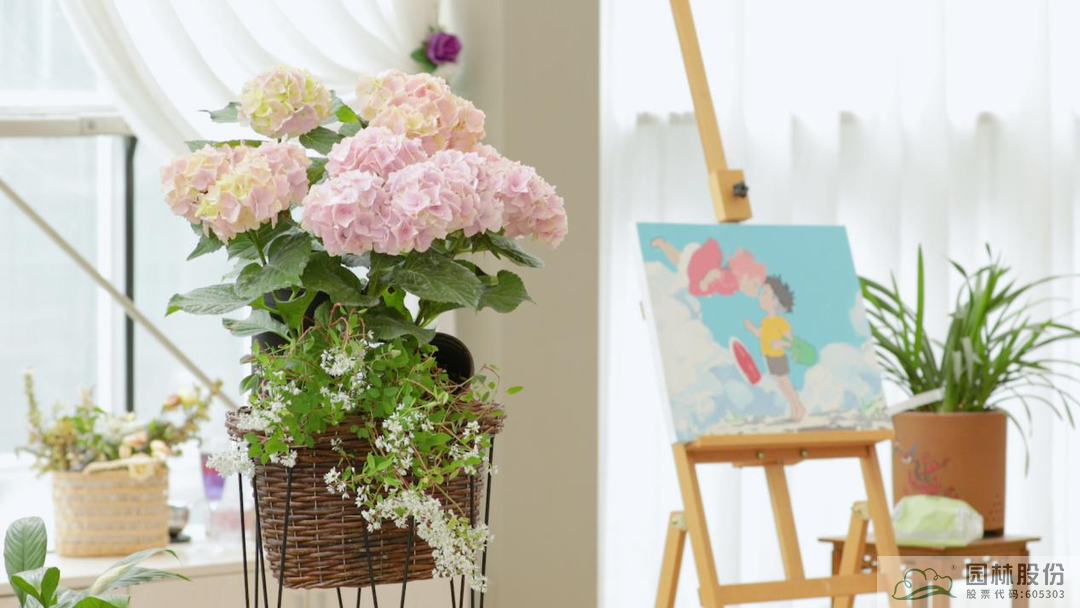 彩运网(中国游)官方网站