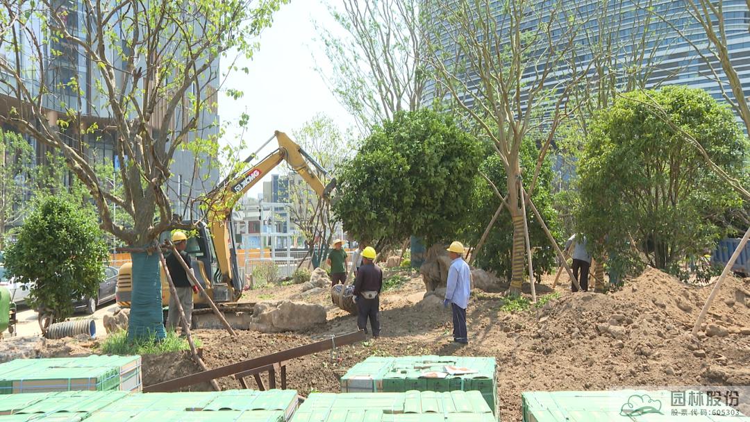 彩运网(中国游)官方网站