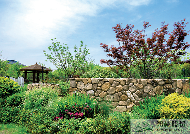 彩运网(中国游)官方网站