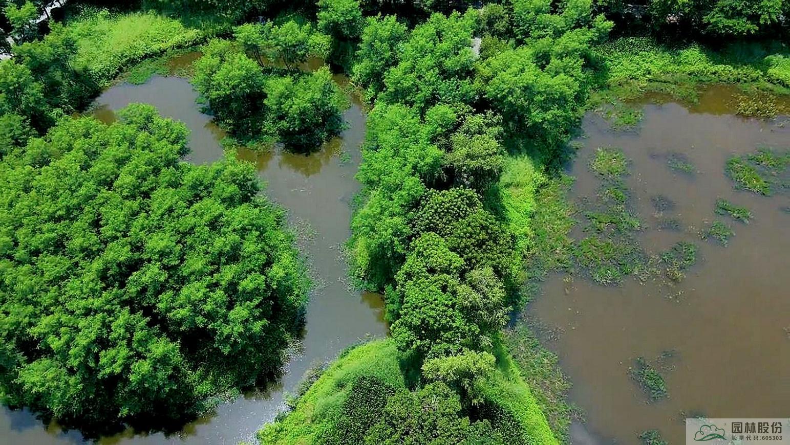 彩运网(中国游)官方网站