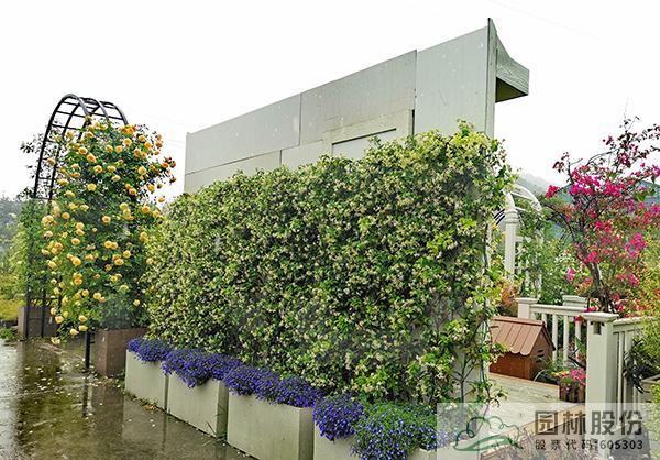 彩运网(中国游)官方网站