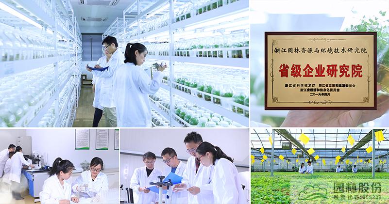 彩运网(中国游)官方网站