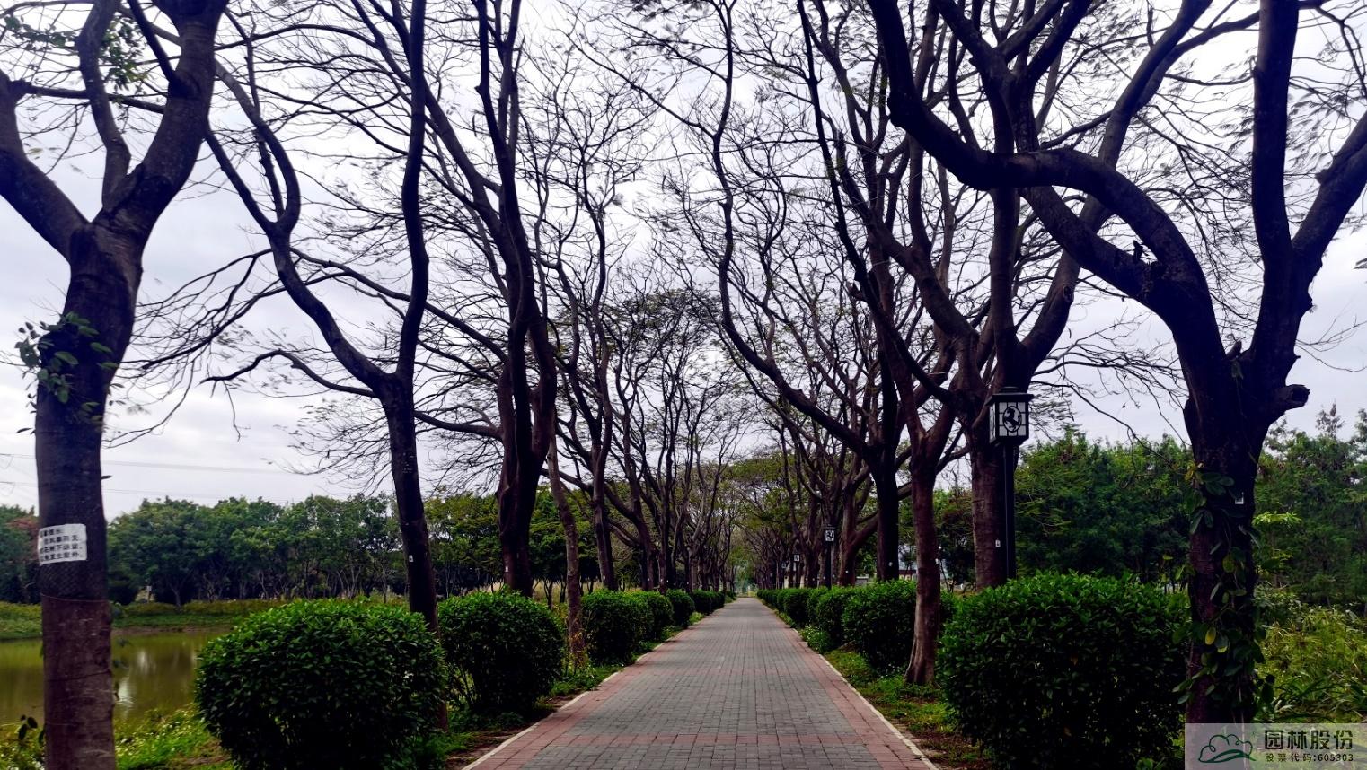 彩运网(中国游)官方网站