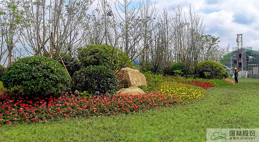 彩运网(中国游)官方网站