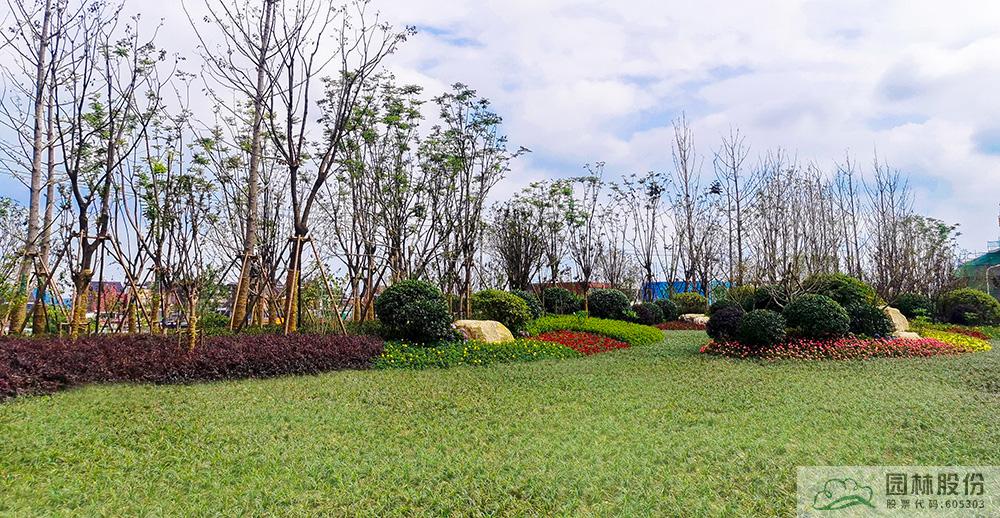 彩运网(中国游)官方网站