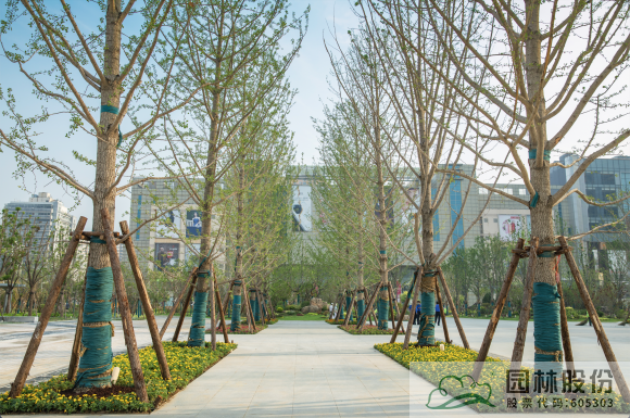 彩运网(中国游)官方网站