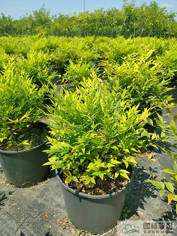 彩运网(中国游)官方网站