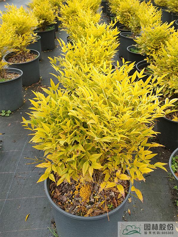 彩运网(中国游)官方网站