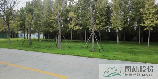 彩运网(中国游)官方网站