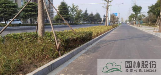 彩运网(中国游)官方网站