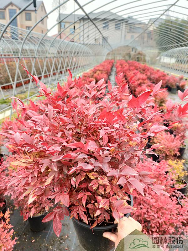 彩运网(中国游)官方网站