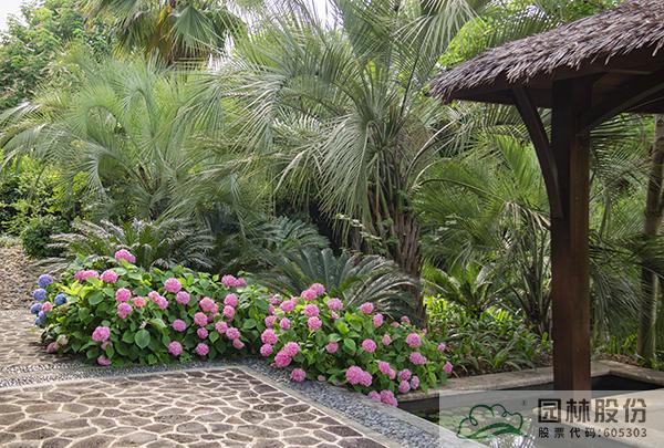 彩运网(中国游)官方网站