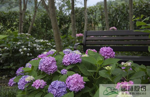 彩运网(中国游)官方网站