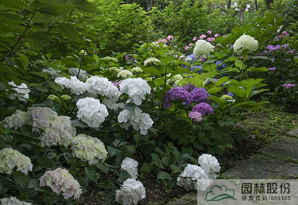 彩运网(中国游)官方网站