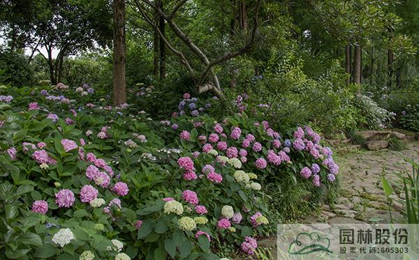 彩运网(中国游)官方网站