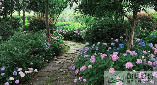 彩运网(中国游)官方网站